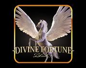 Divine Fortune Black